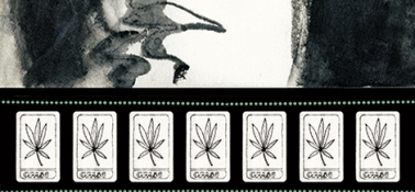 Medical Cannabinoids